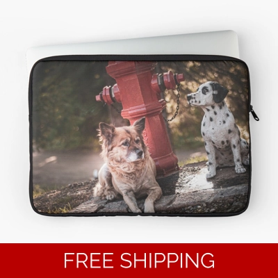 Le Studio Laptop Sleeve Rush Signals Monument 2 Dogs